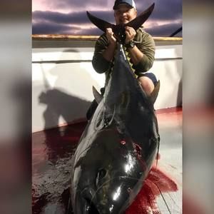 Meet your Posher, Van